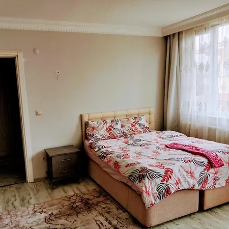 ベッド・アンド・ブレックファスト Ahmet Teacher Hotel, 6 Minutes From The Airport