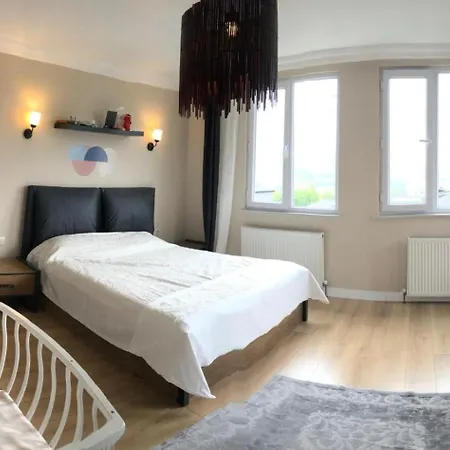 ベッド・アンド・ブレックファスト Ahmet Teacher Hotel, 6 Minutes From The Airport Tasoluk